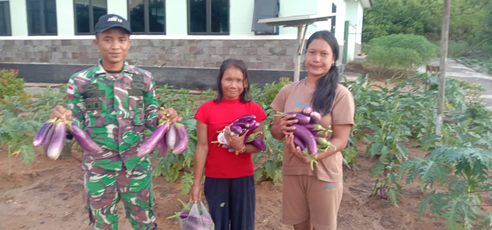 Ketahanan Pangan, Satgas Pamtas RI-Malaysia Yonarmed 16/TK Panen Kacang Panjang dan Terong Bersama masyarakat Perbatasan