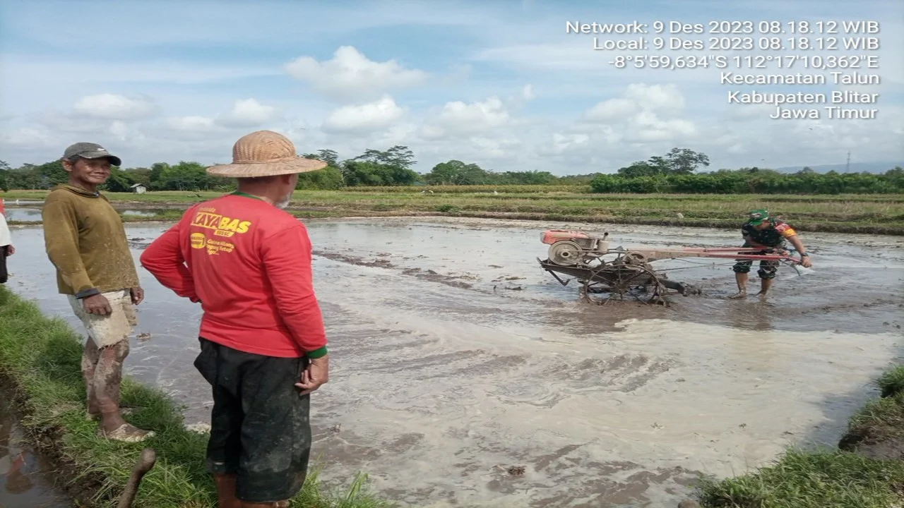Hadir Di Tengah Masyarakat, Babinsa Koramil Talun Bantu Pengolahan Dan Penyiapan Lahan Pertanian Warga Binaannya