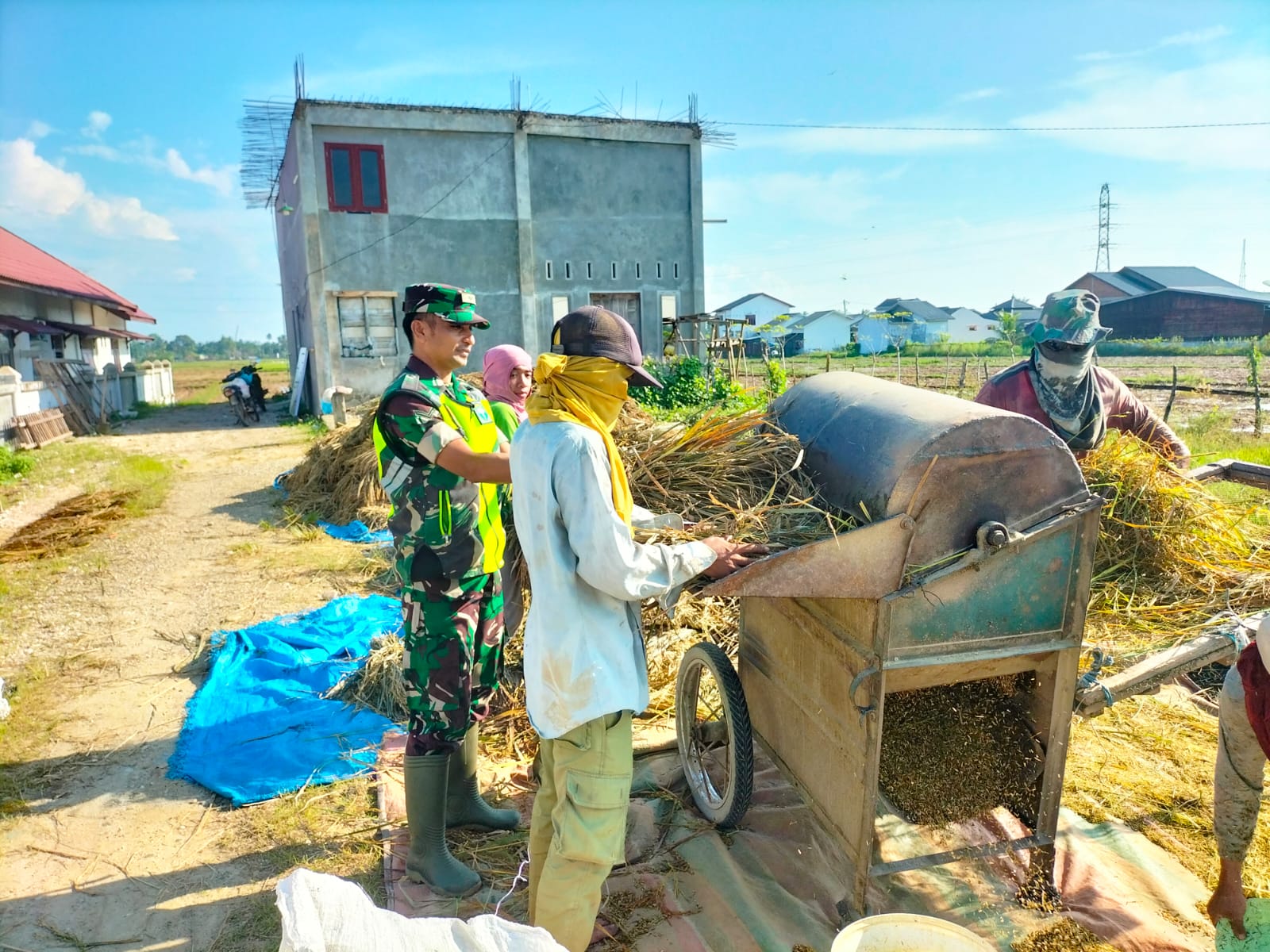 Bentuk Nyata, Babinsa Turun ke Sawah Bantu Petani Merontokkan Padi