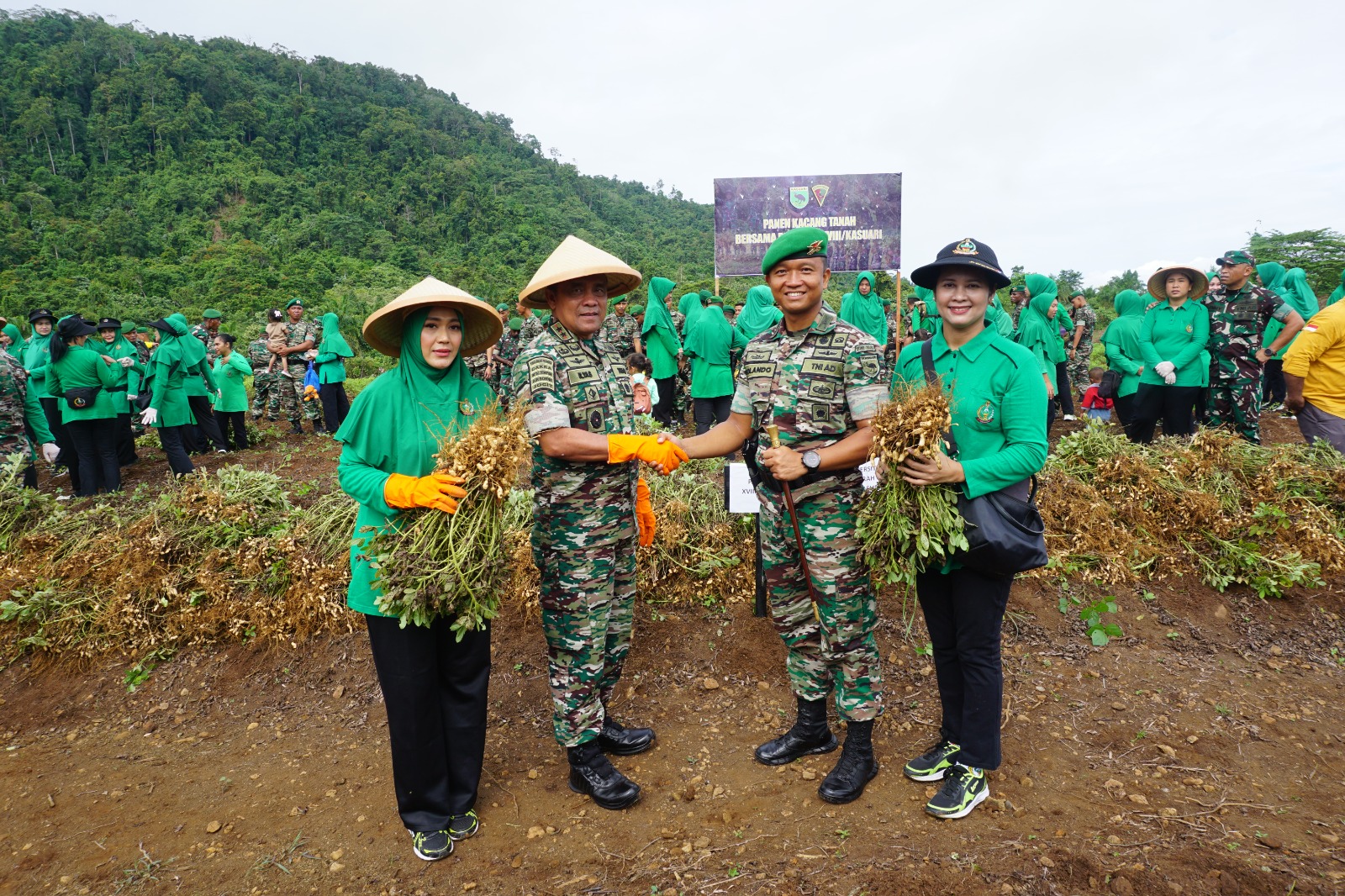 Penanaman Serta Panen Kacang Tanah di Yonif 761/KA, Pangdam Kasuari Berharap Punya Nilai Ekonomis