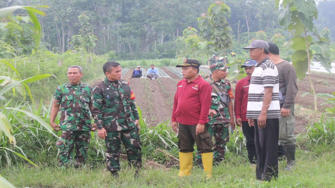 Pastikan Lokasi Penanaman Jagung Siap, Dandim 0808/Blitar Cek Langsung Ke Lapangan