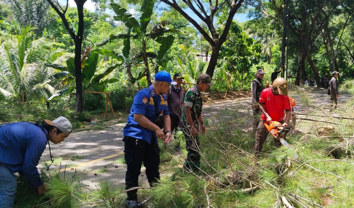 Misi Keselamatan: TNI dan BPBD Trenggalek Berantas Bahaya dengan Penebangan Pohon