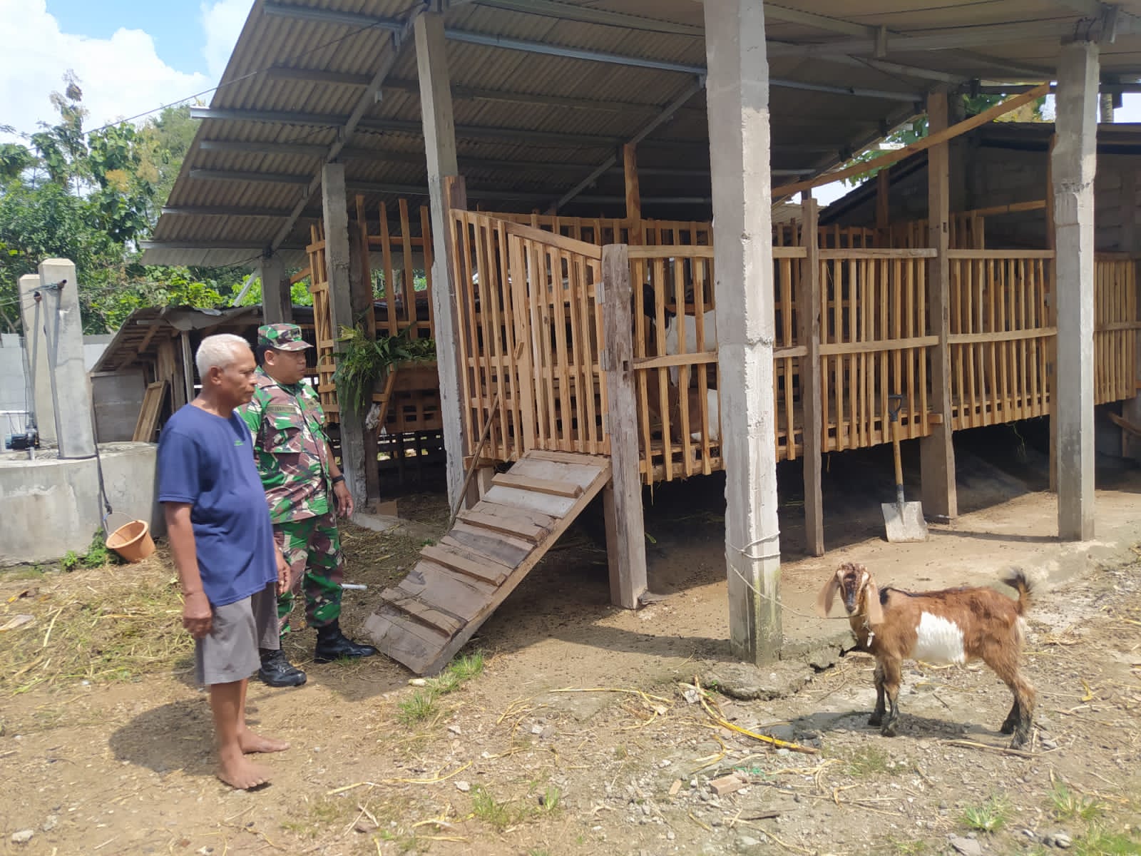Komsos Babinsa Motivasi Peternak, Dukung peningkatan Kesejahteraan Masyarakat