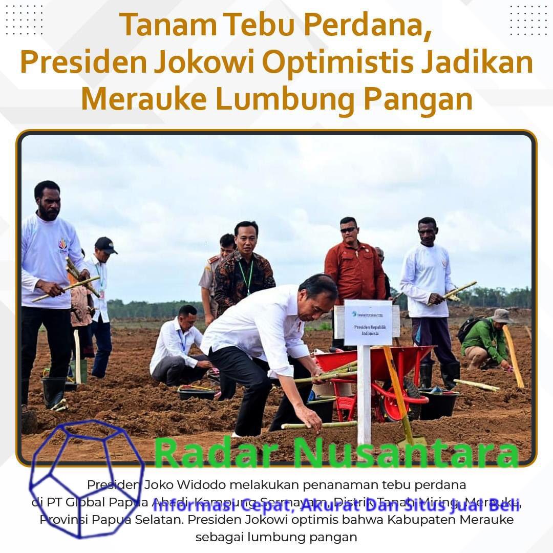 Tanam Tebu Perdana, Presiden Jokowi Optimistis Jadikan Merauke Lumbung Pangan