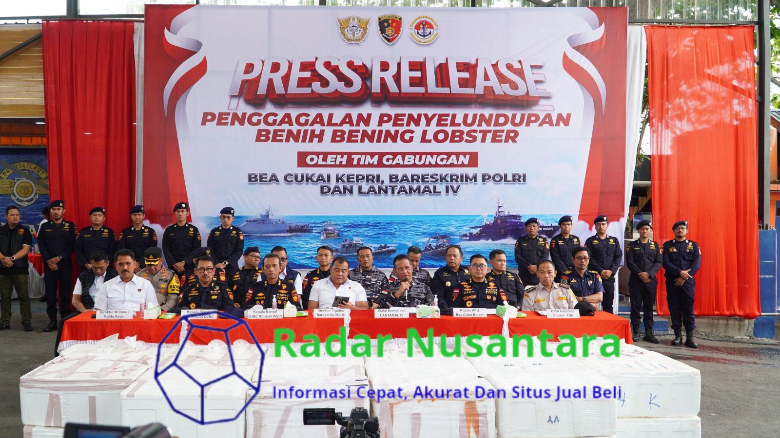 Penyelundupan Benih Bening Lobster Sebanyak 237.305 Benih Bening Lobster Senilai 23,6 Milyar Berhasil Digagalkan Polda Kepri