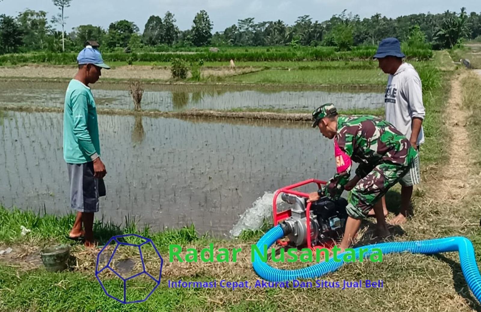 Babinsa Nglegok Dan Poktan Sido Makmur 1 Pastikan Ketersediaan Air Dengan Pompanisasi