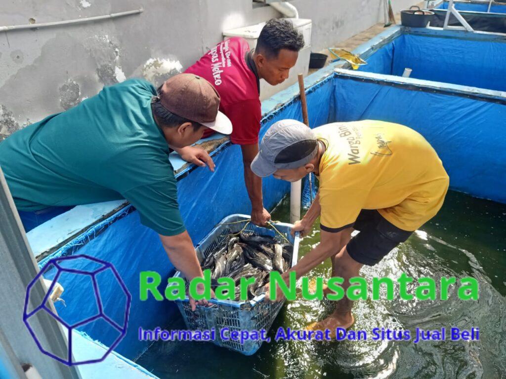 Dukung Program Ketahanan Pangan, Lapas Metro Terus Kembangkan Pembinaan Kemandirian Bagi Warga Binaan