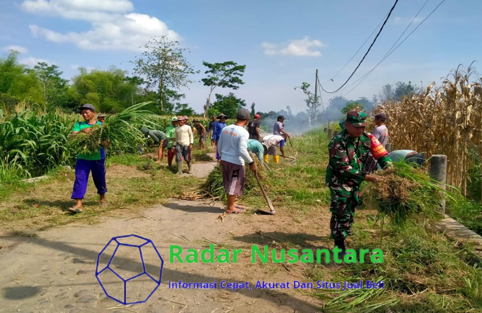Wujudkan Lingkungan Bersih, Babinsa Sumbersari Ajak Warga Gotong Royong Bersihkan Jalan Desa
