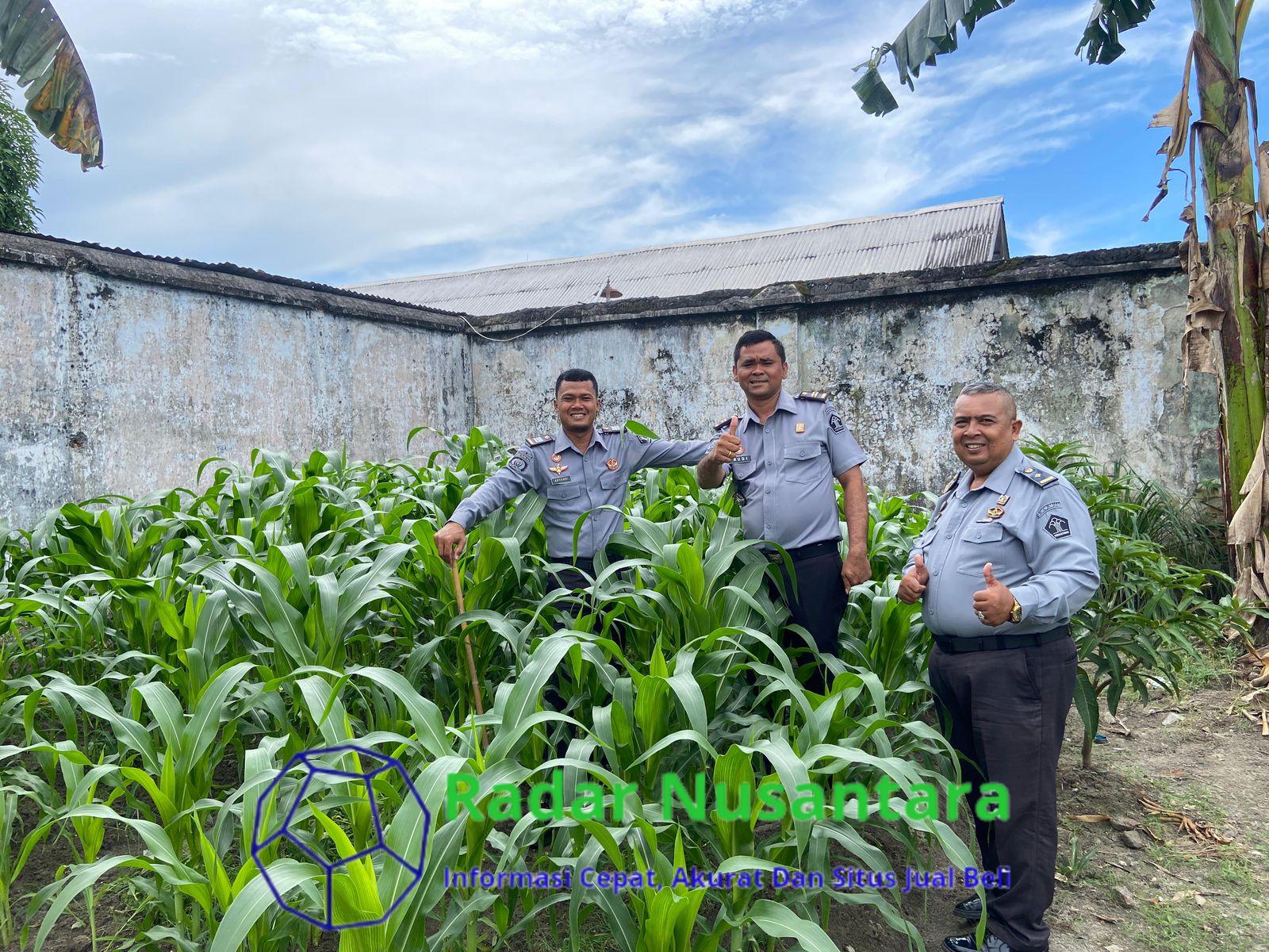 Lapas Tanjungbalai Asahan Dukung Penuh Akselerasi Menimipas Dalam Menjaga Ketahanan Pangan