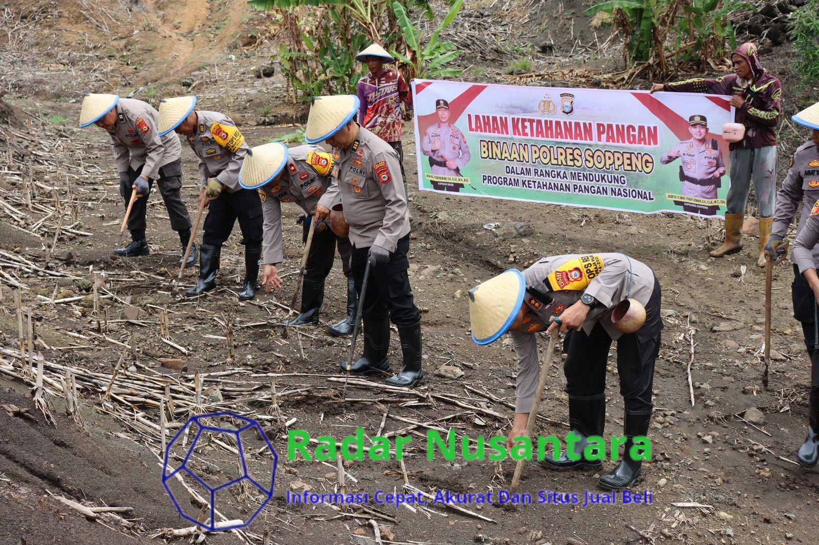 Dukung Program Ketahanan Pangan Nasional, Kapolres Soppeng & PJU Laksanakan Penanaman Perdana dilahan Binaan