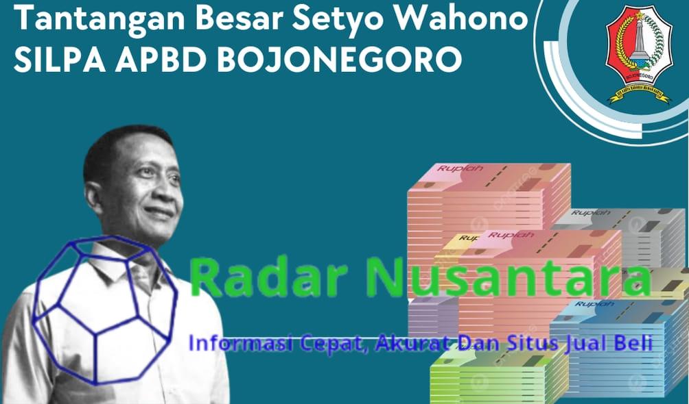 Setyo Wahono, Bupati Bojonegoro Terpilih, Hadapi Tantangan Besar SILPA Anggaran Pemkab