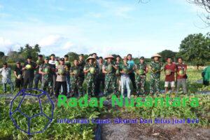 Korem 033/WP berhasil melaksanakan Panen Raya ke 2 di Teluk Bakau Bintan.