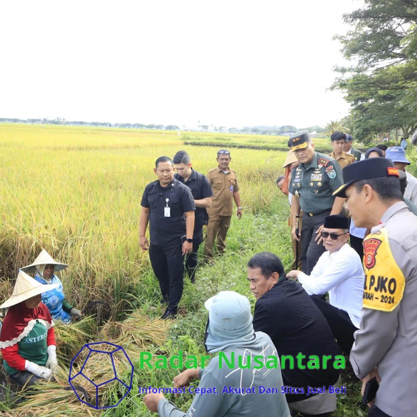 Menteri Pertanian RI didampingi Pangdam Iskandar Muda tinjau Program Optimasi Lahan di Lhoksukon, Aceh Utara
