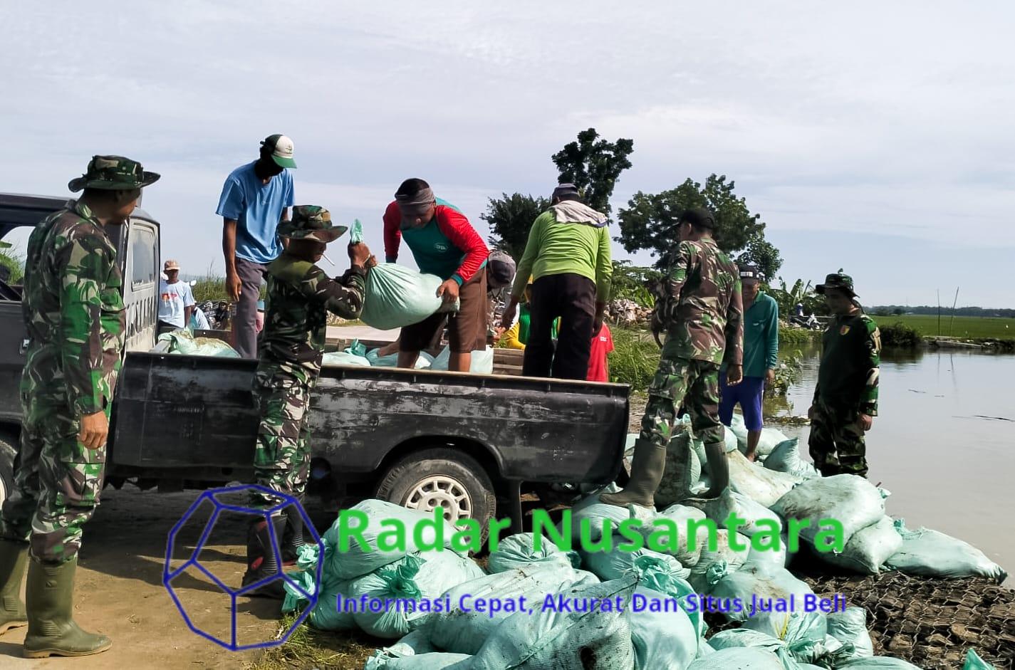 Semangat Juang Tak Kenal Lelah, Babinsa Kodim Bojonegoro dan Masyarakat Benahi Tanggul Jebol