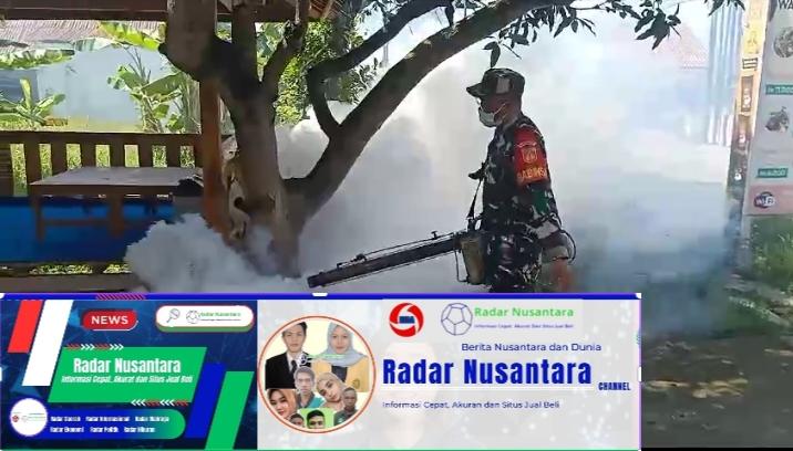 Babinsa Dan Puskesmas Sambi Berjibaku Berantas DBD