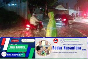 Plt. SDA Jakarta Ika Agustin Ningrum, Dinilai lambat dan Gagal menanggulangi banjir Jakarta
