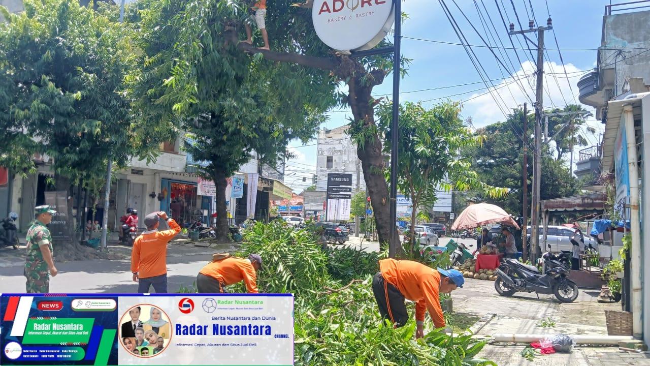 Babinsa Kratonan Bantu Jaga Kelancaran Arus Lalu Lintas Saat Pemangkasan Pohon