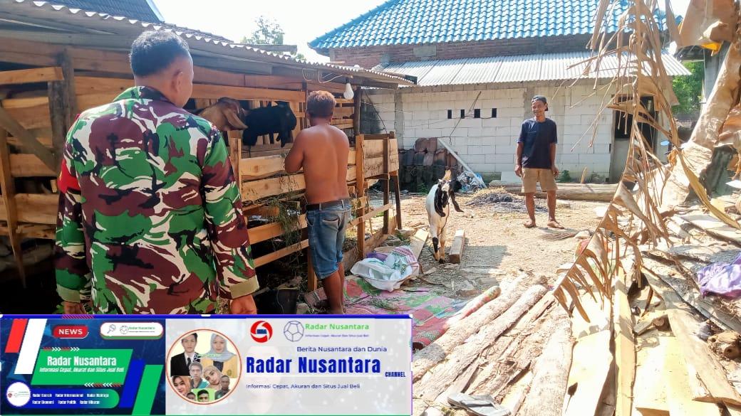 Babinsa Kemusu Berbagi Ilmu Dengan Peternak Desa Ketoyan