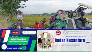 Babinsa Bantu Panen Padi Menggunakan Mesin Combi, Tingkatkan Produktivitas Petani
