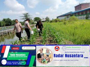 Kapolsek Krian Tinjau Perawatan Tanaman Ketahanan Pangan
