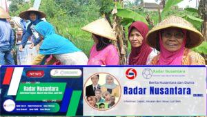 Nenek Tua Penyemangat Anggota Satgas TMMD