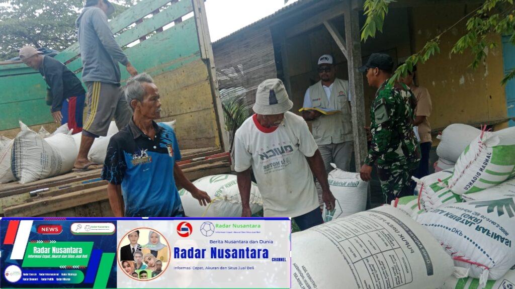 “Babinsa koramil 1009/Tomo, PPL dan Bulog Kancab Bandung terjun langsung ke Lokasi panen di desa Marongge Kecamatan Tomo”