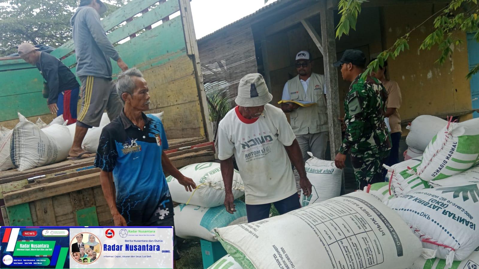 "Babinsa koramil 1009/Tomo, PPL dan Bulog Kancab Bandung terjun langsung ke Lokasi panen di desa Marongge Kecamatan Tomo"