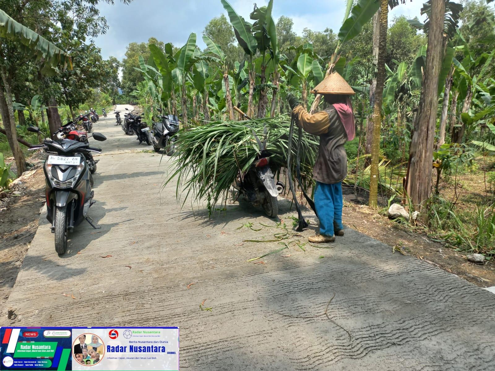 Mencari Rumput Ternak Jadi Lebih Mudah