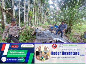 Polsek Pancur Batu Gerebek Barak Narkoba, Dua Pelaku Diamankan