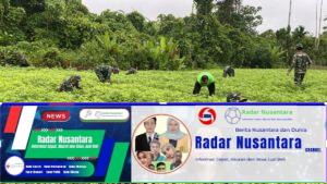 Mendukung Program Pemerintah Dalam Ketahanan Pangan, Satgas Yonif 131/BRS Manfaat Lahan Kosong Bersama Masyarakat di Perbatasan Papua