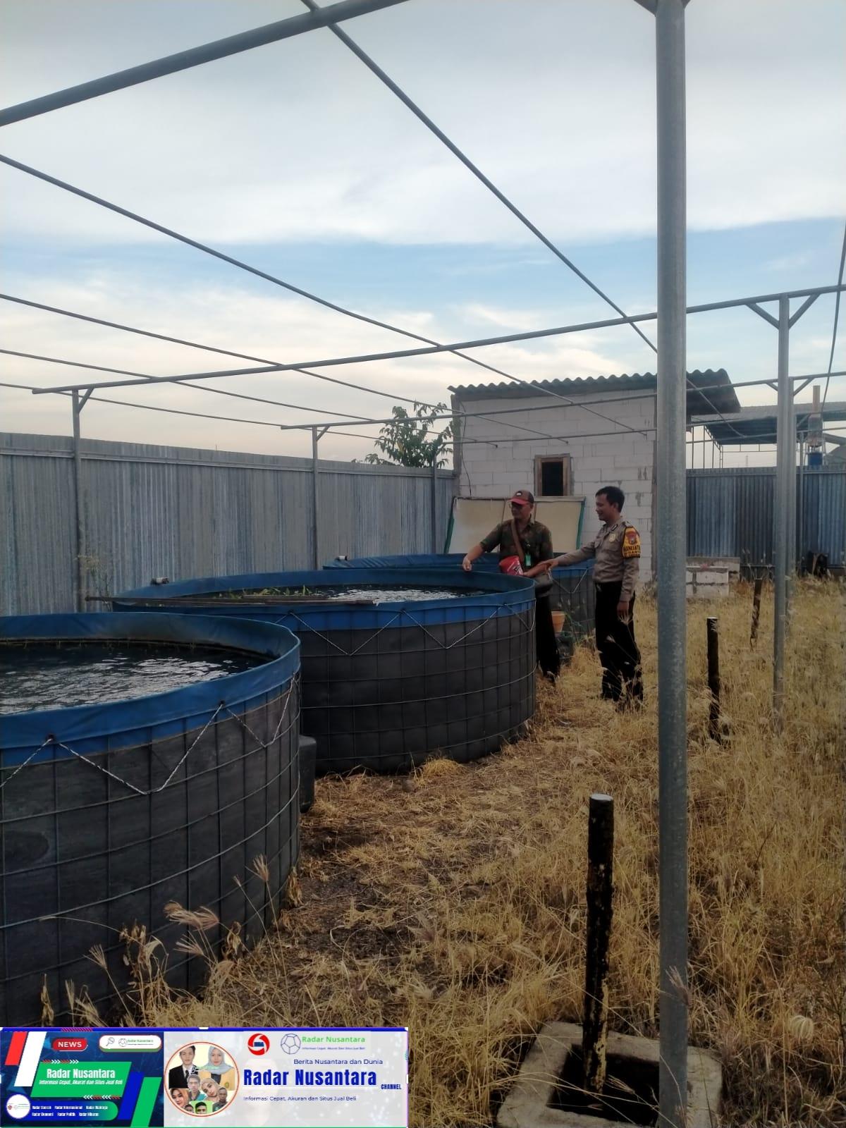 Wujudkan Swasembada Pangan, Warga Desa Ganting Gedangan Manfaatkan Lahan Kosong untuk Budidaya Ikan Lele
