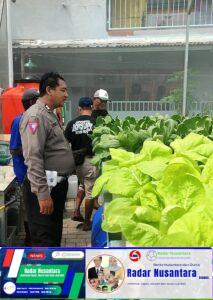 Polisi Apresiasi Warga Kembangkan Hortikultura di Green House Ketahanan Pangan Desa Kletek Sidoarjo
