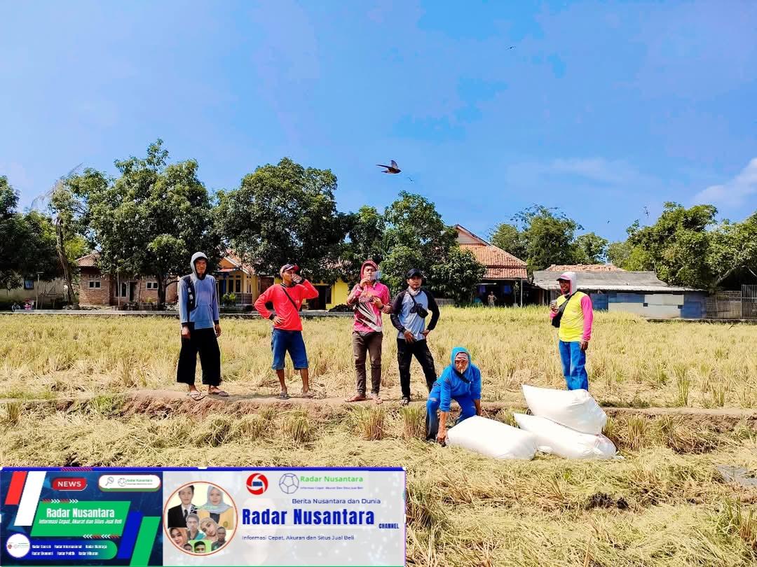 Petani Bojonegoro Tidak Hanya Kekurangan Pupuk Tapi Juga Kurang Perhatian