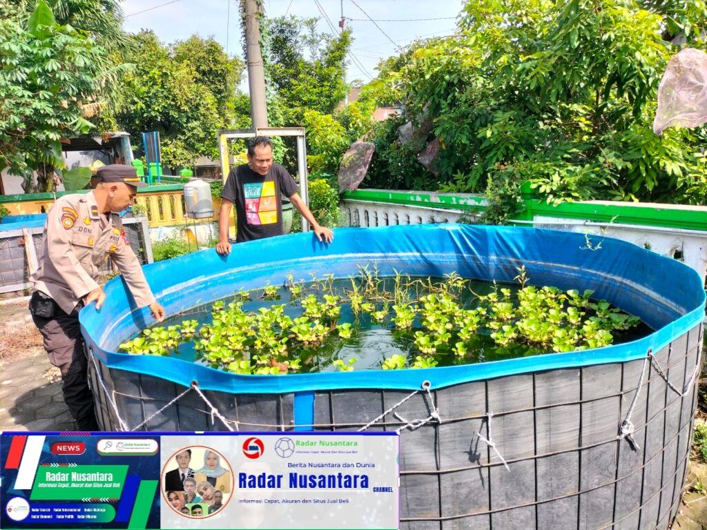Polsek Sedati Dukung Ketahanan Pangan Nasional Dengan Pengecekan Rutin Budidaya Ikan Lele