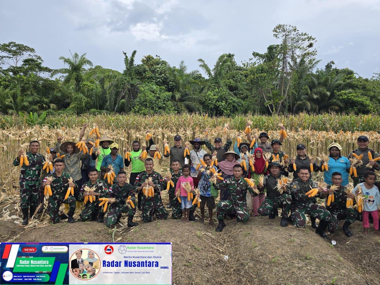 Dukung Program Ketahanan Pangan Pemerintah, Satgas Yonif 131/Brajasakti Bersama Masyarakat Kampung Wonorejo Perbatasan Papua Panen Jagung