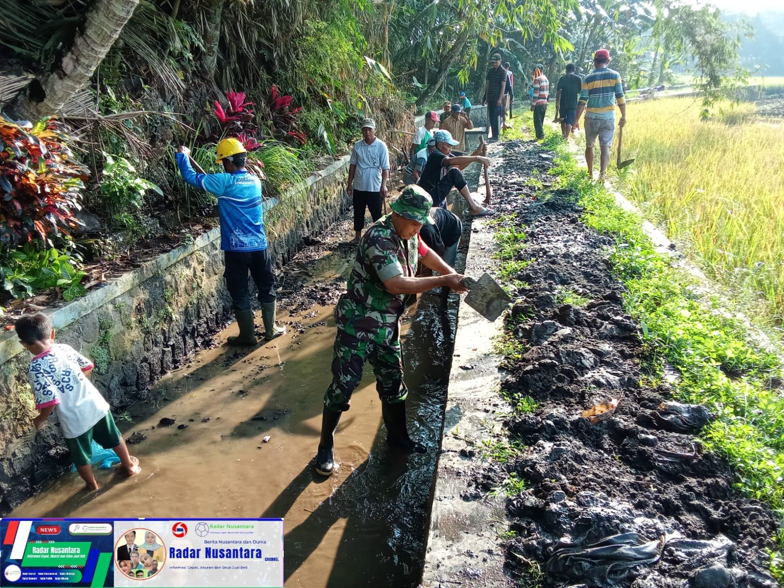 Saluran Irigasi Lancar Panen Petani Jadi Maksimal