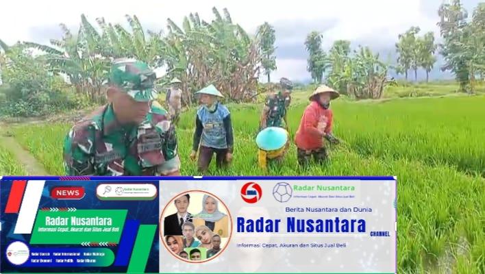 Optimalkan Kesuburan Padi, Babinsa Lakukan Pembersihan Gulma di Sawah Poktan Sri Luwih