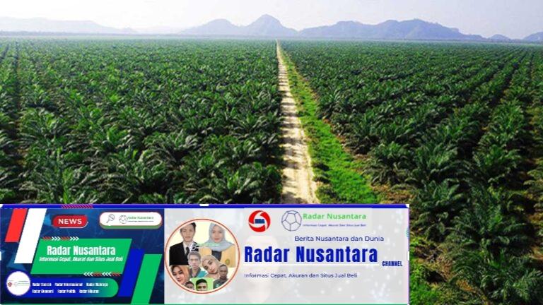 PT. Palmaris kuasai lahan Batahan tanpa HGU