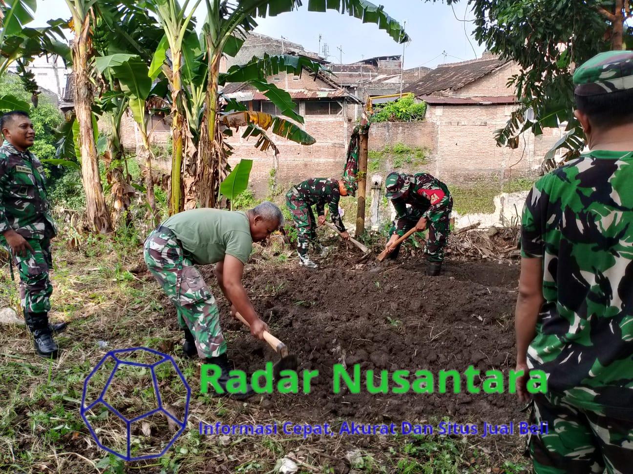 Tanpa Henti Membantu Warga, Anggota Koramil 03/Serengan Ajak Warga Olah Lahan Tidur