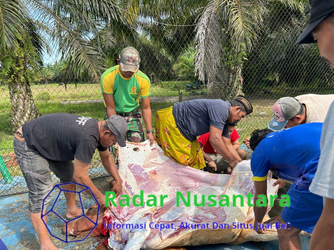 Kebersamaan Satgas Pamtas Yonarmed 11 Kostrad dan Warga Warnai Idul Adha 1446 H di Perbatasan