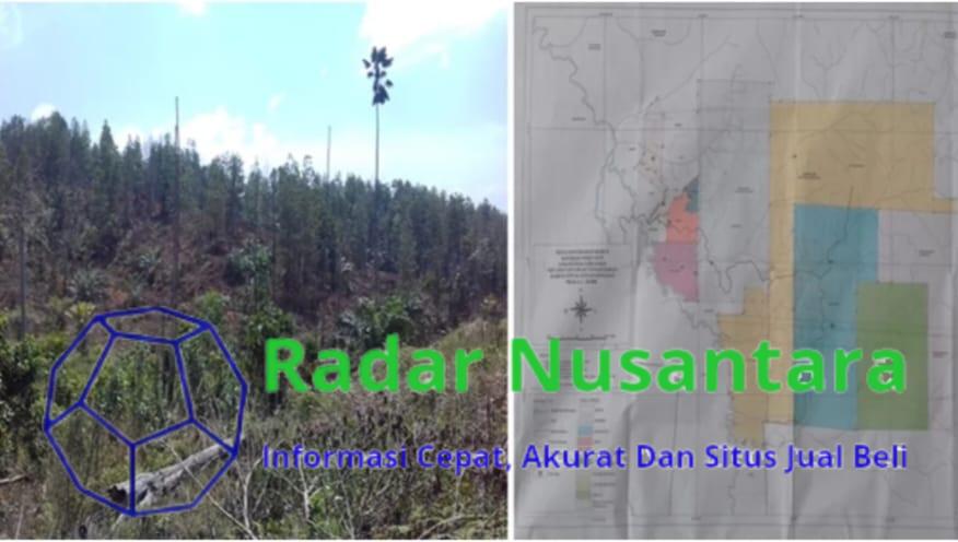 Satgas Inti Prabowo Kecam Perusahaan Perusak Hutan, Desak Negara Bertindak Tegas