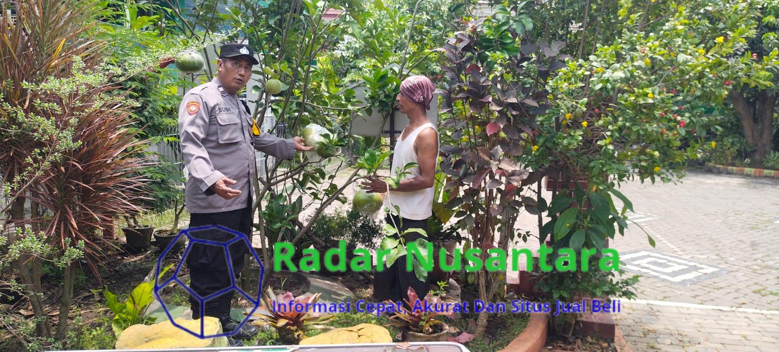 Dukung Program Asta Cita Aiptu Budi Santoso Tinjau Lahan Tanaman Jeruk Nipis