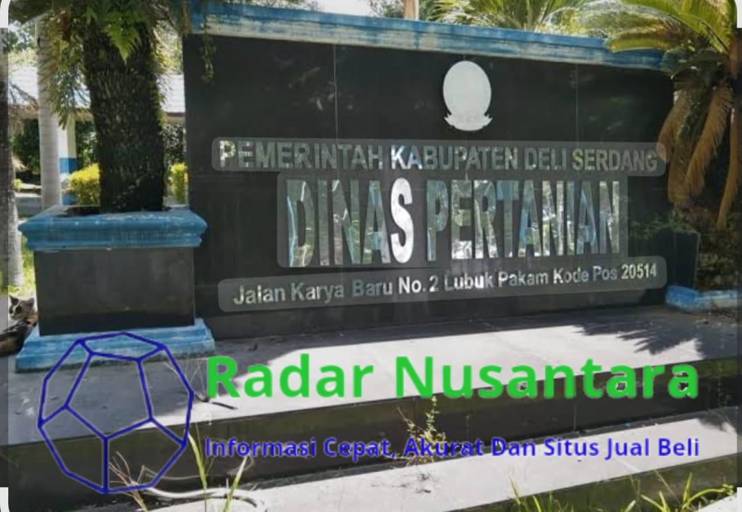 PLT Kabid Sarana dan Prasarana Deli Serdang Diduga Langgar Aturan, Tunjuk Koordinator Penyuluh Tak Kompeten