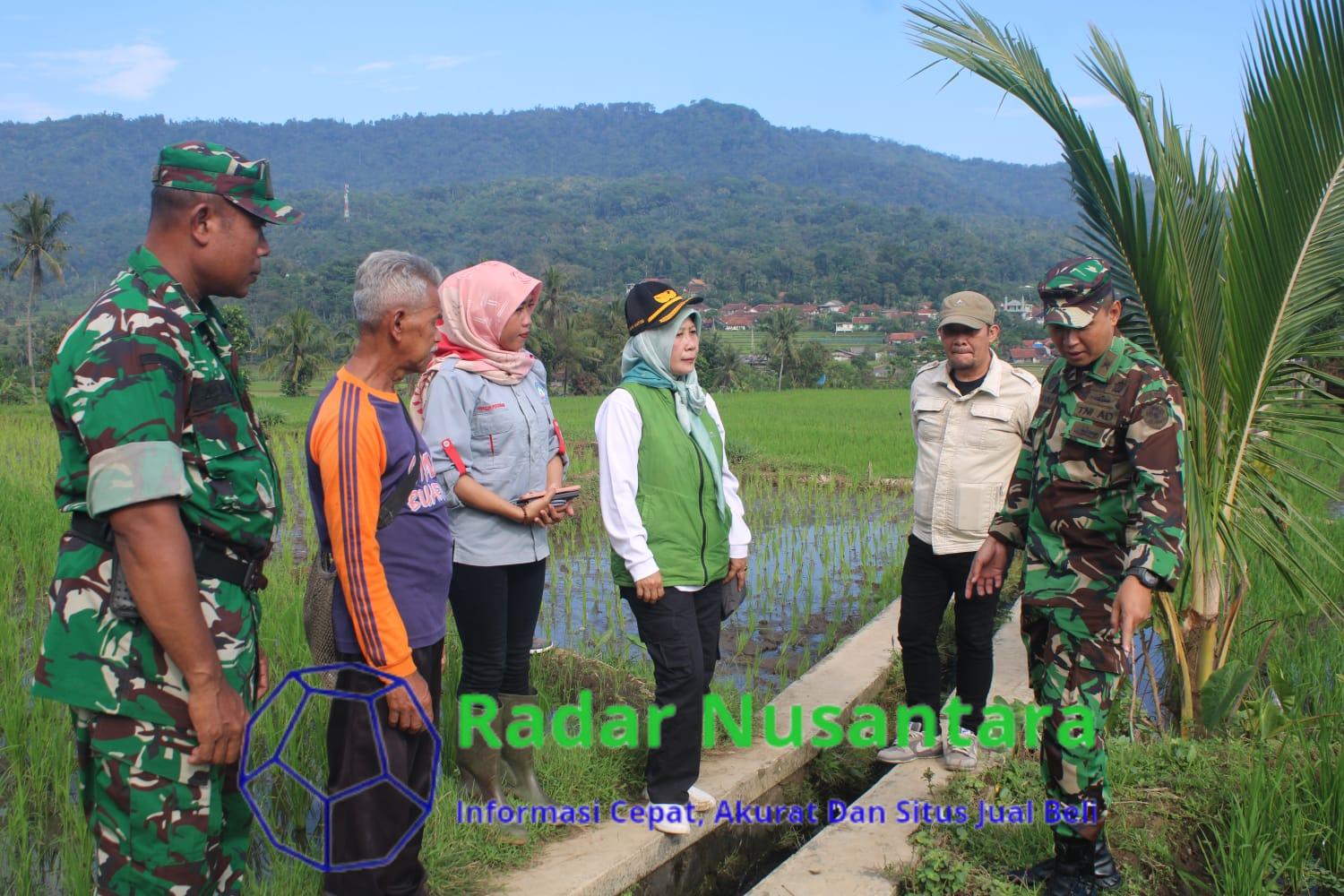 Dandim Sumedang Tinjau Lahan Starbak di Tanjung Kerta: Dorong Desa Mandiri Pangan dan Sejahterakan Petani!