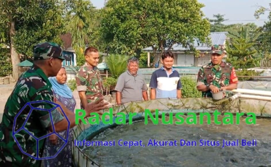 Babinsa Berbagi Ilmu dan Semangat, Kunjungi Peternak Lele