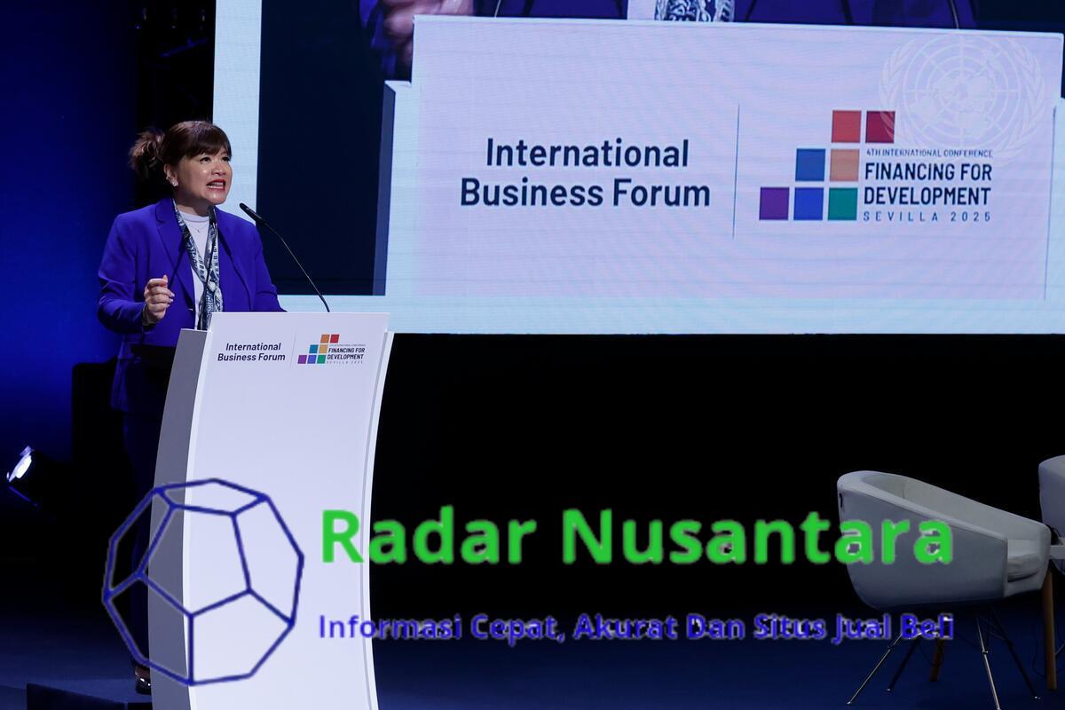 Tampil di Panggung PBB, Ketum APINDO Ditunjuk Jadi Co-Chair Business Steering Committee FFD4