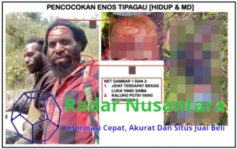 Prajurit TNI Lumpuhkan Tokoh OPM Enos Tipagau di Intan Jaya