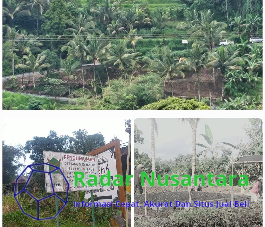 13 Pelanggaran Tata Ruang di WBD Jatiluwih Belum Ditindak Tegas Muncul Lagi Pelanggaran Serupa, Warga: Kami Ikut Bangun disini
