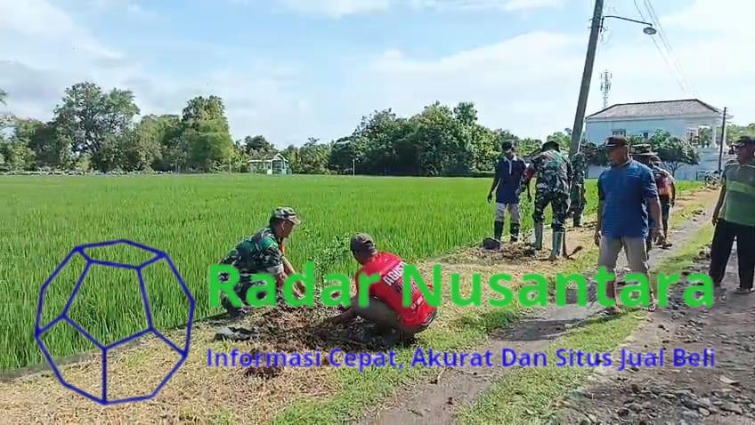 Koramil Karangmalang Sukseskan Penanaman Pohon, Hijaukan Jalan Kel. Kroyo