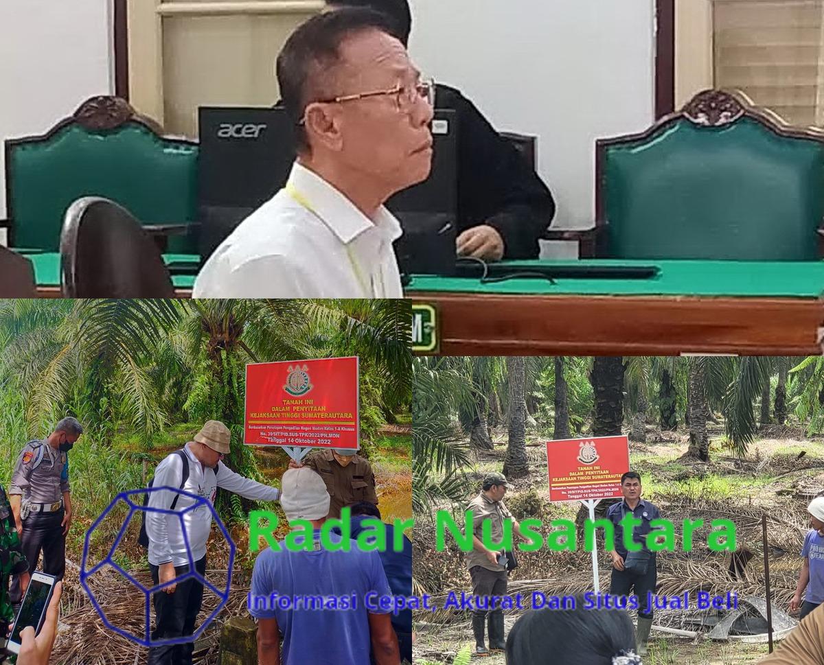 Vonis 10 Tahun dan UP 797 M, Akuang Tak Ditahan Hakim, Koperasi STM Diduga Masih Panen Sawit di Hutan Negara, Kastel Langkat : Dititip ke BKSDA